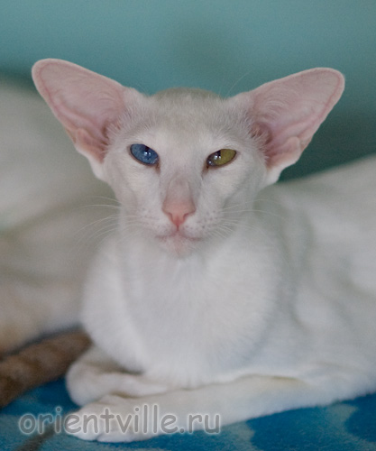 Гайка, 1 год 3 месяца