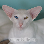 Гайка, 1 год 3 месяца