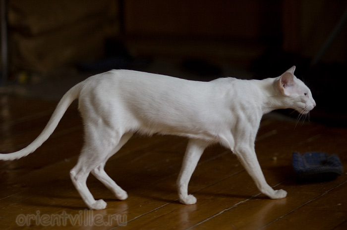 Гайка, 1 год 3 месяца