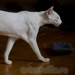 Гайка, 1 год 3 месяца