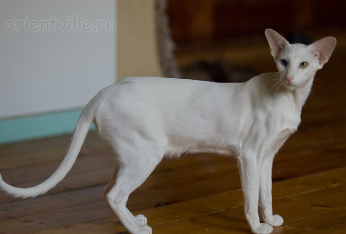 Гайка, 1 год 3 месяца