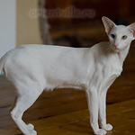 Гайка, 1 год 3 месяца