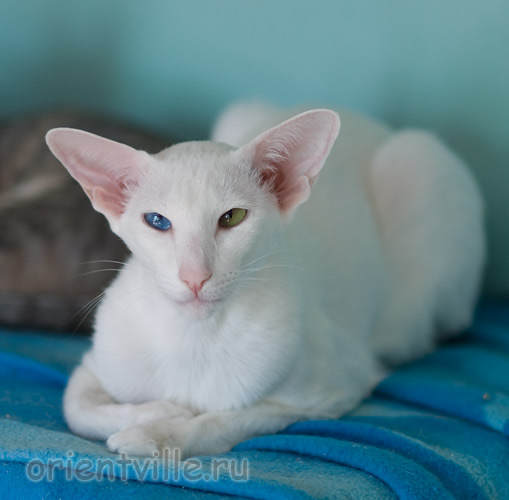 Гайка, 1 год 3 месяца