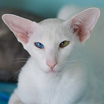 Гайка, 1 год 3 месяца