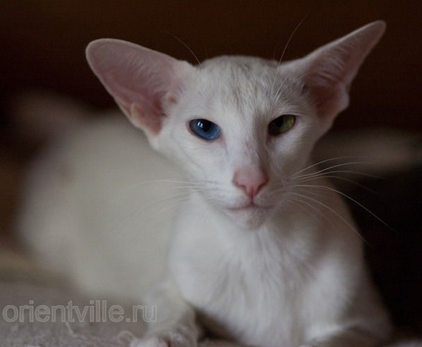 Гайка, 1.5 года