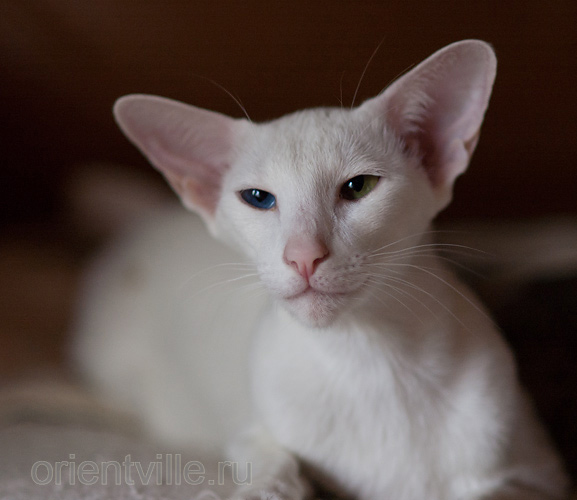 Гайка, 1.5 года