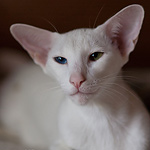 Гайка, 1.5 года