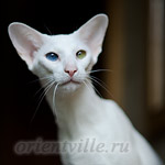 Гайка, 2.5 года