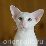 Orientville's Lem (ORI w 63)