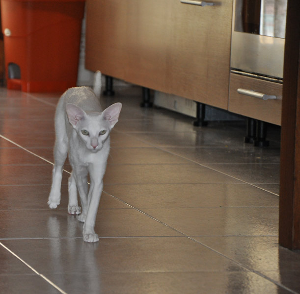 Фото владельцев