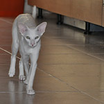 Фото владельцев