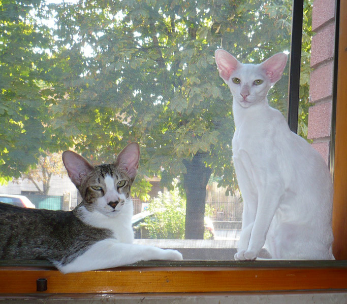 Фото владельцев