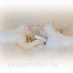 Norrington с мамой