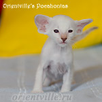 Покахонтас, 1 мес