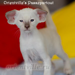 Пасспарту, 1 мес