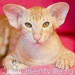 Orientville's Tarzan (OSH d)