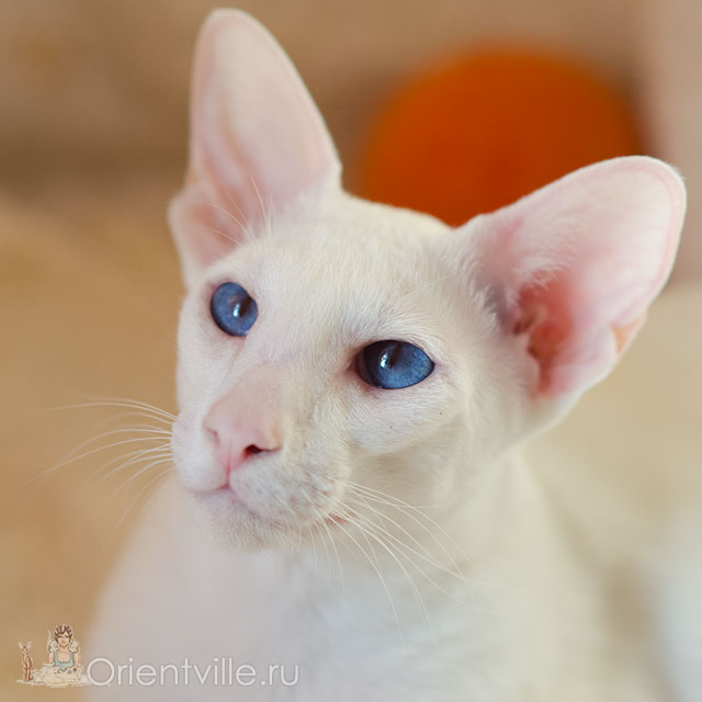 Квентин 1 год