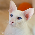 Квентин 1 год