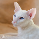 Квентин 1 год