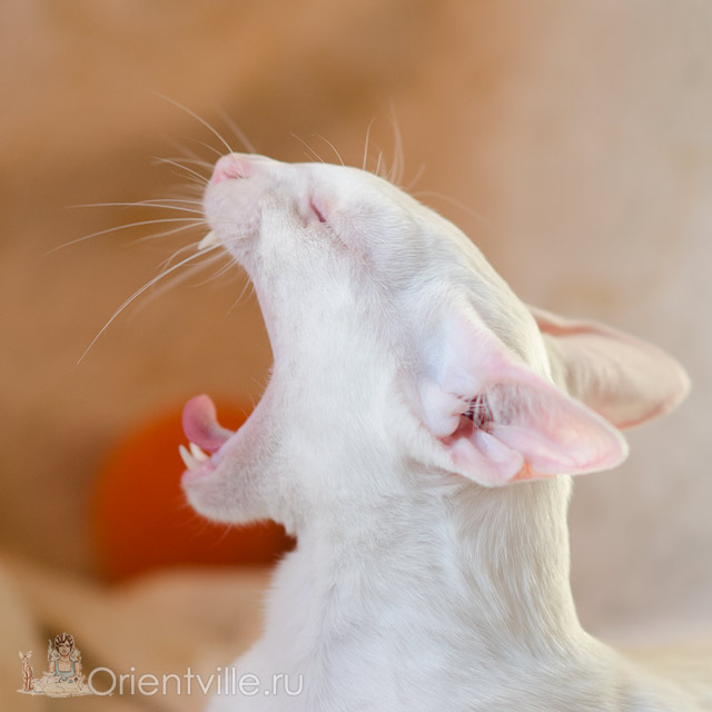 Квентин 1 год