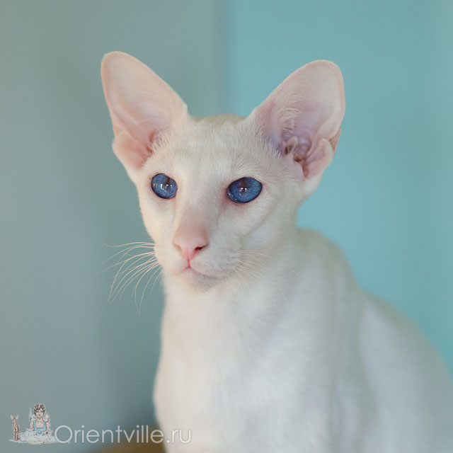 Квентин 1 год