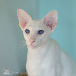 Квентин 1 год