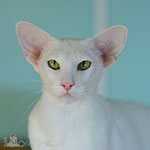 Нейтири 2 года