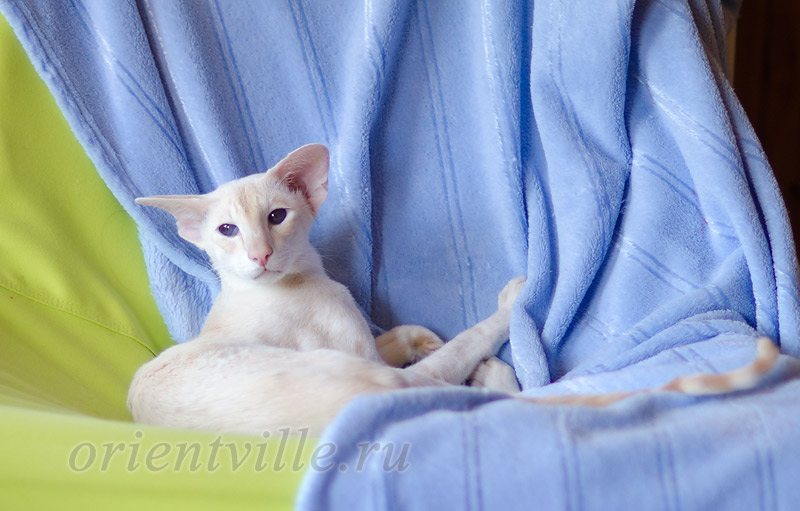 Over, 1 year 9 month