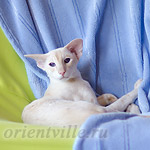 Over, 1 year 9 month