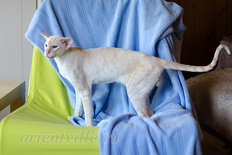 Over, 1 year 9 month