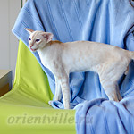 Over, 1 year 9 month