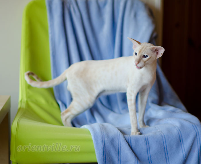 Over, 1 year 9 month