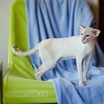 Over, 1 year 9 month